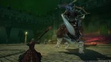 Image Final Fantasy XIV : A Realm Reborn