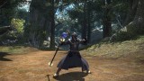 Image Final Fantasy XIV : A Realm Reborn