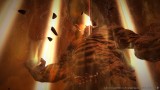 Image Final Fantasy XIV : A Realm Reborn