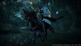 Image Final Fantasy XIV : A Realm Reborn