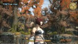 Image Final Fantasy XIV : A Realm Reborn