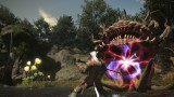 Image Final Fantasy XIV : A Realm Reborn