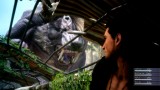 Image Final Fantasy XV
