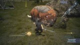 Image Final Fantasy XV