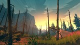 Image Firewatch