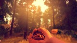 Image Firewatch