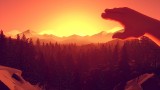 Image Firewatch