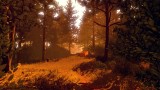 Image Firewatch