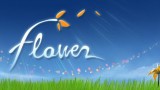 Image Flower