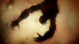 Image God of War : Ascension