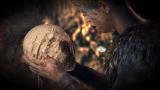Image Hellblade : Senua's Sacrifice