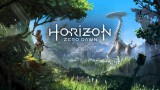 Image Horizon : Zero Dawn