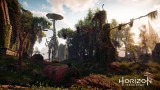 Image Horizon : Zero Dawn