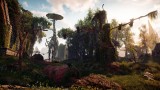 Image Horizon : Zero Dawn