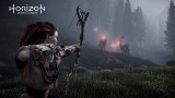 Image Horizon : Zero Dawn