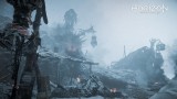 Image Horizon : Zero Dawn