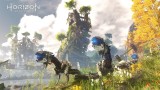 Image Horizon : Zero Dawn