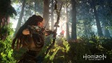Image Horizon : Zero Dawn