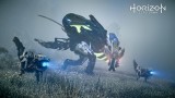 Image Horizon : Zero Dawn