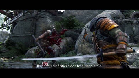 Présentation d'Orochi