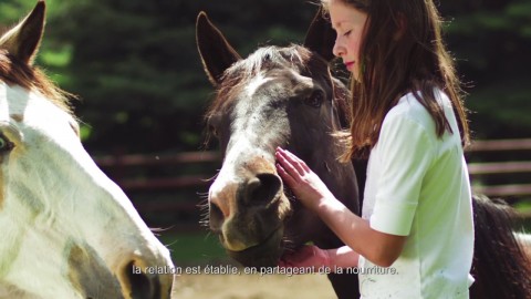 Le Langage des Compagnons