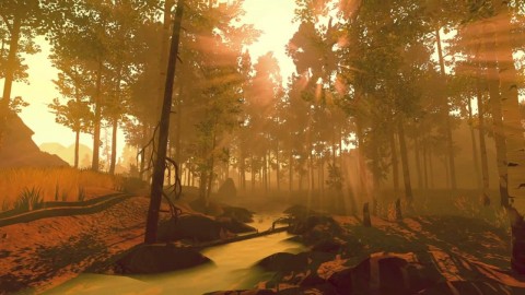 Ambience