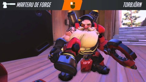 Les capacités de Torbjörn