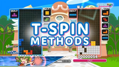 T-Spin Methods Tutorial