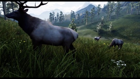 Le bestiaire