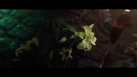 Announcement Trailer (PlayStation Experience 2015)