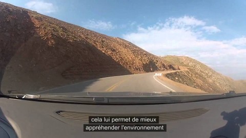 Journal des développeurs