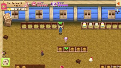 Trailer Coop