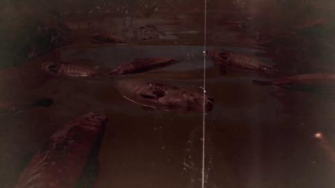Trailer d'annonce Resident Evil 7 Switch Cloud Edition