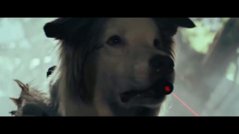 Shadow of the Cute Raider - Trailer National Dog Day.